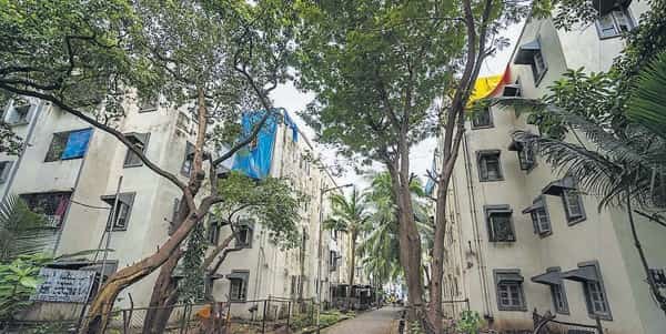 Bandra Government Colony Mumbai