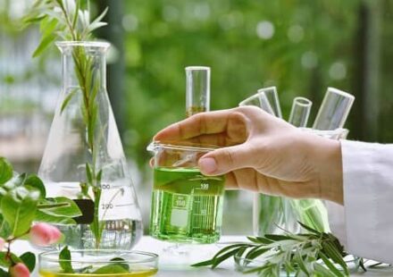 Herbal Medicine Manufacturing