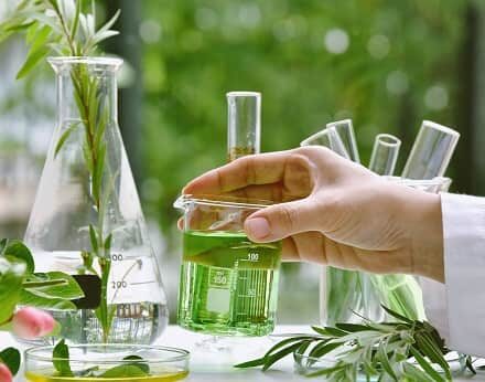 Herbal Medicine Manufacturing