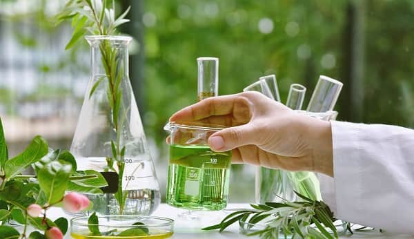 Herbal Medicine Manufacturing
