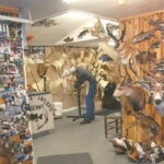 Taxidermy Business