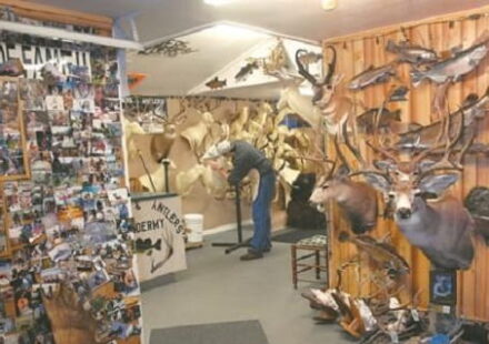 Taxidermy Business