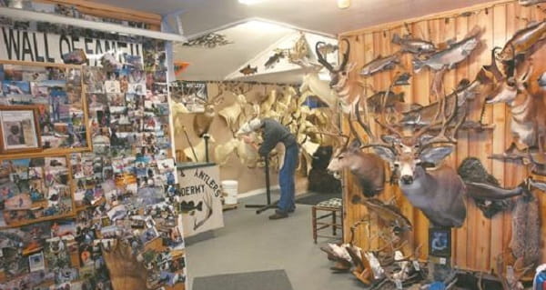 Taxidermy Business